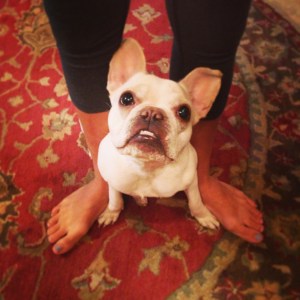 My Dearest Fortoula...How would I have gotten through these past two years without you! 